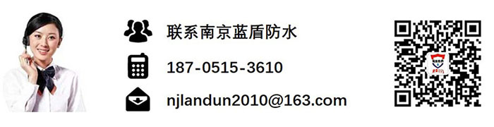 南京藍盾